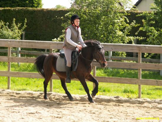 reprise au club au galop - michelle au trot.jpg